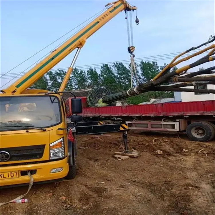 松柏镇100吨吊车租赁费用怎么算？3大关键因素+省钱技巧全解析